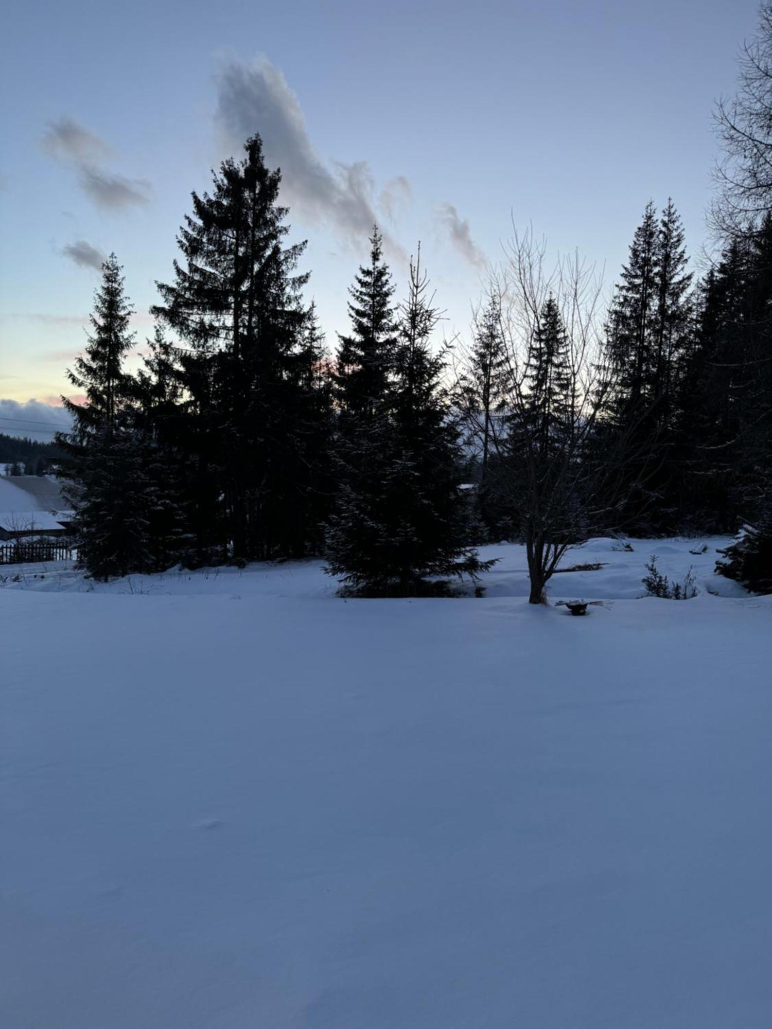 Orawska Knieja 2.0 Villa Lipnica Wielka Exteriör bild