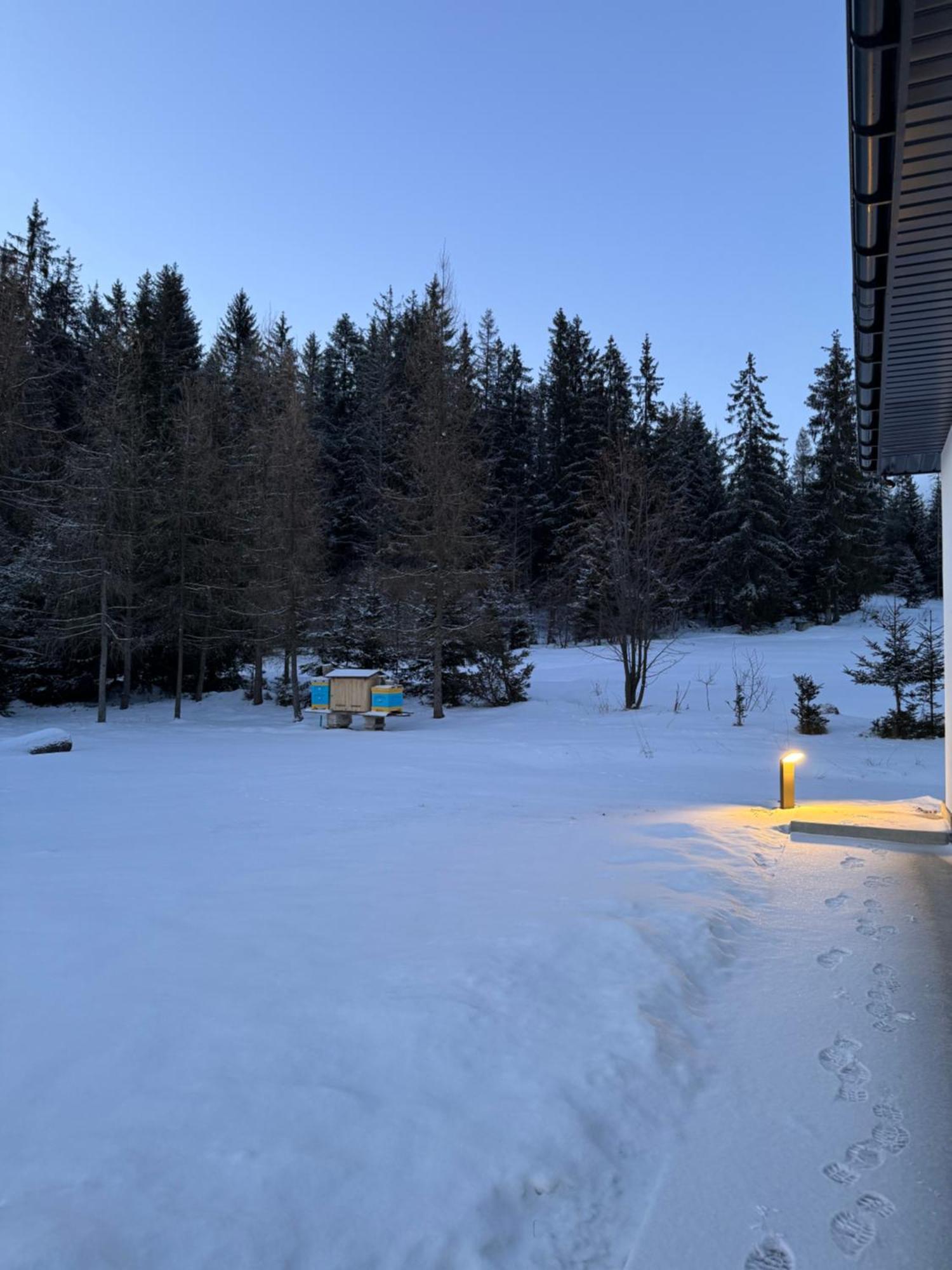 Orawska Knieja 2.0 Villa Lipnica Wielka Exteriör bild